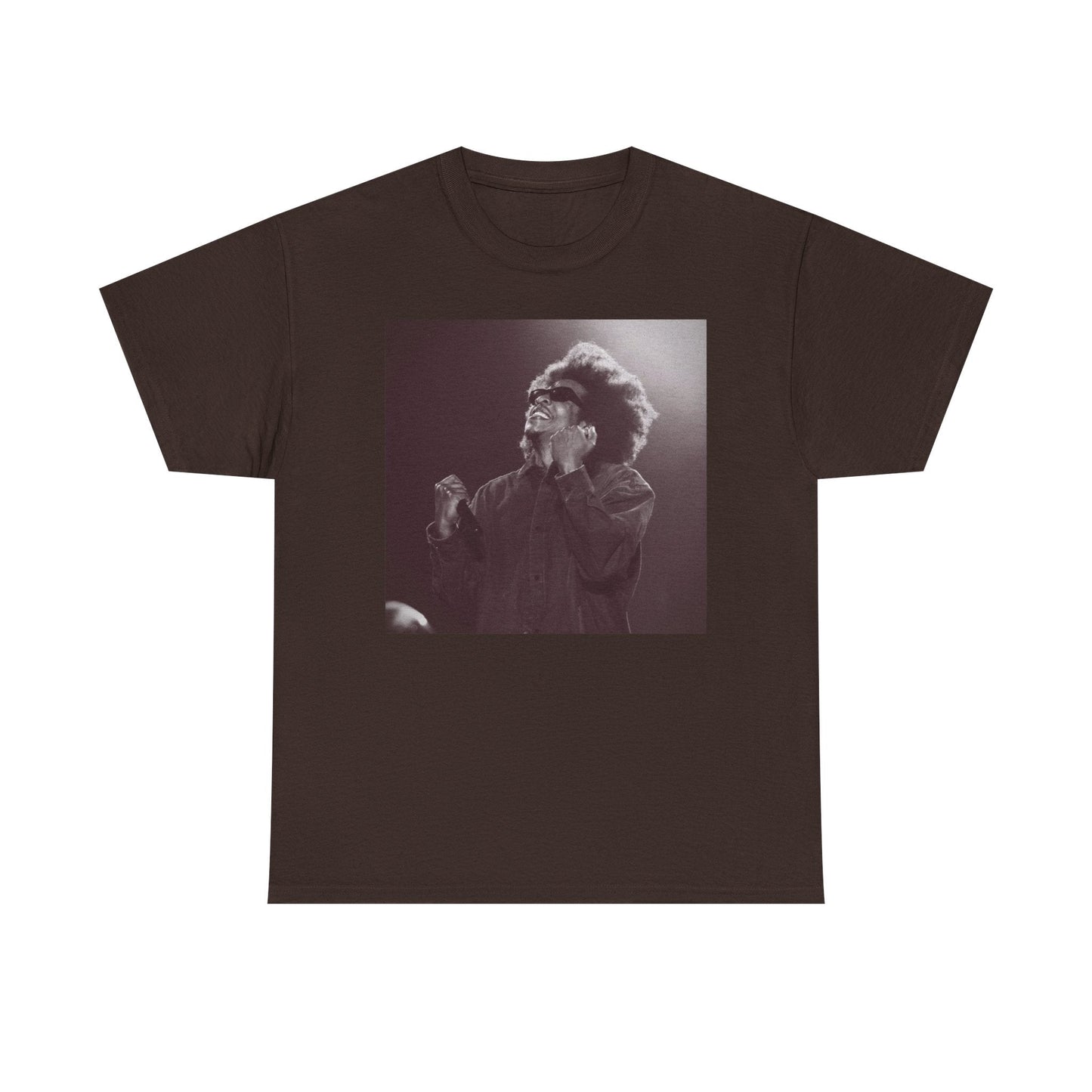 Jay - Z Roots Picnic 2026 Photo Tee - Lasercraft Design