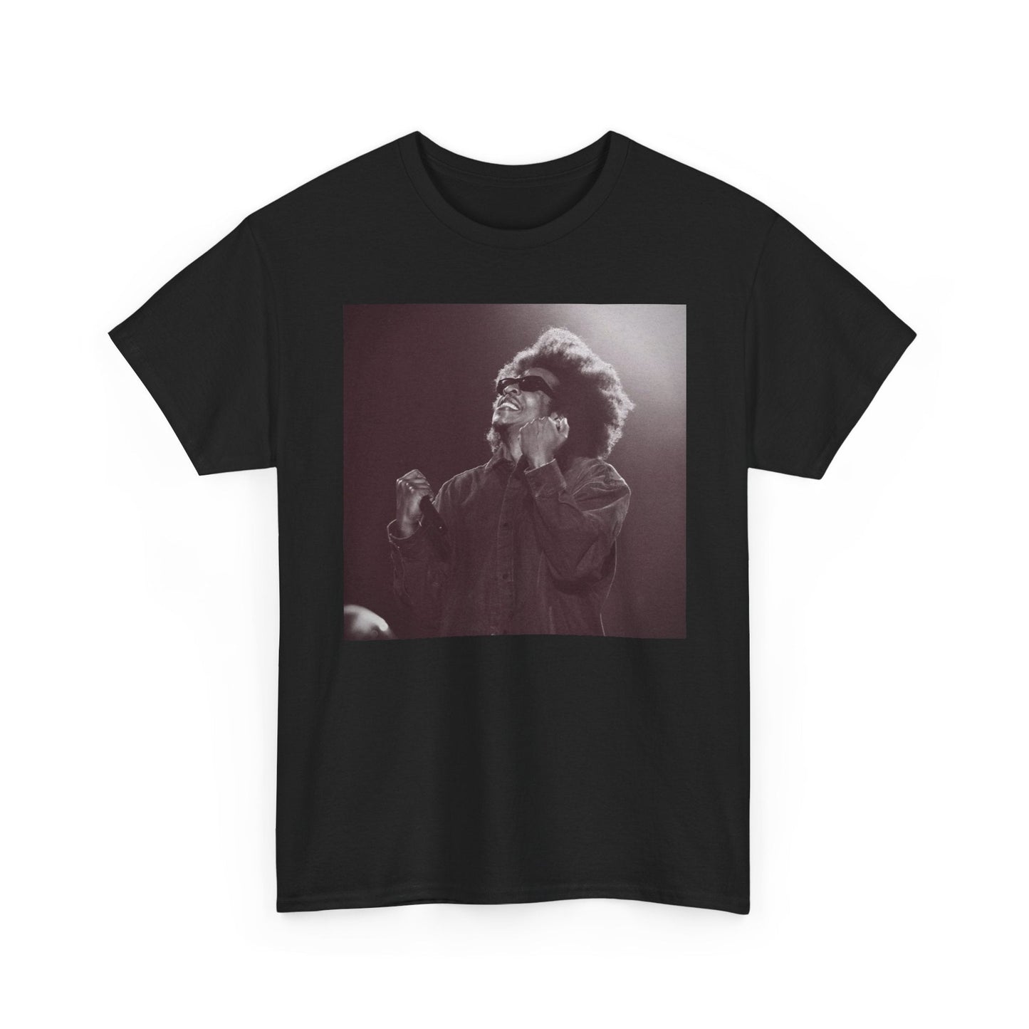 Jay - Z Roots Picnic 2026 Photo Tee - Lasercraft Design