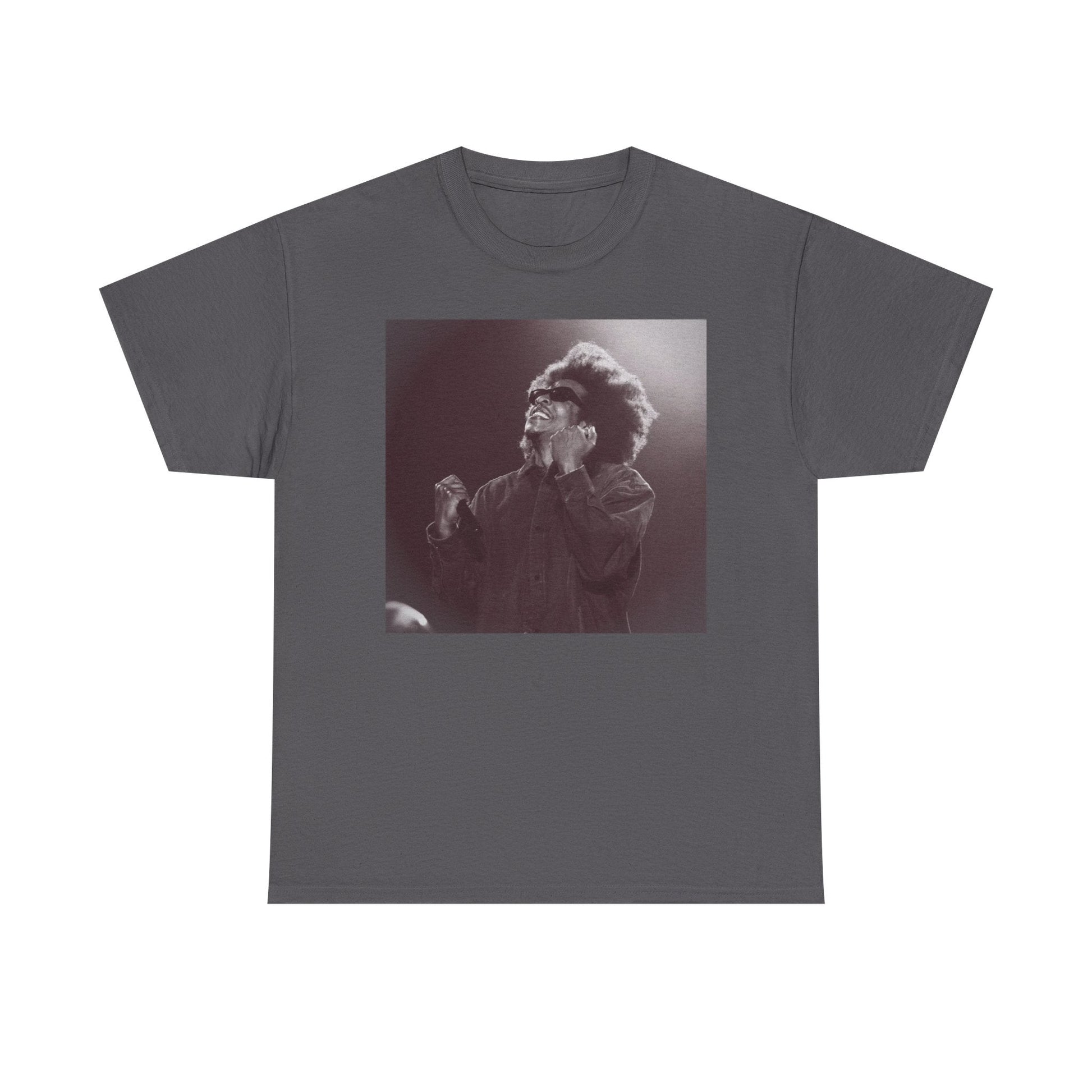 Jay - Z Roots Picnic 2026 Photo Tee - Lasercraft Design