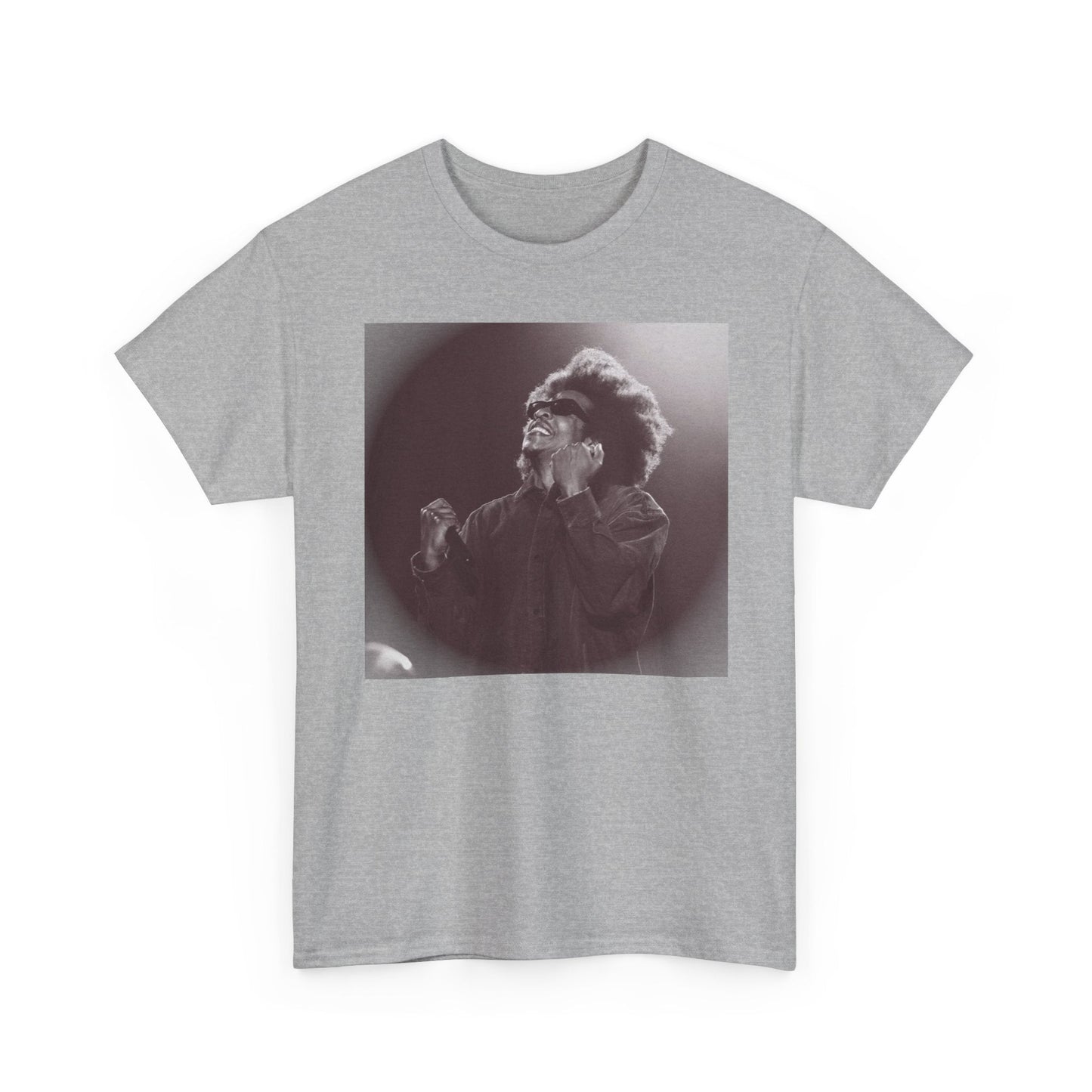 Jay - Z Roots Picnic 2026 Photo Tee - Lasercraft Design