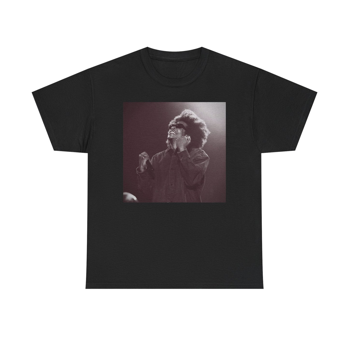 Jay - Z Roots Picnic 2026 Photo Tee - Lasercraft Design