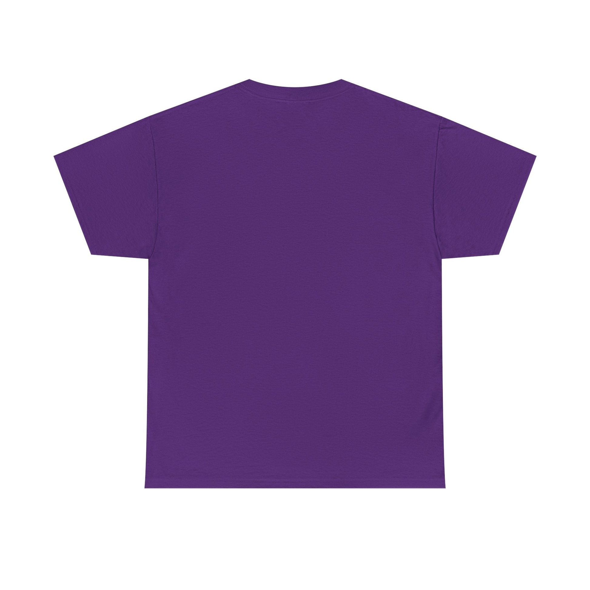 Jay - Z Roots Picnic 2026 Photo Tee - Lasercraft Design